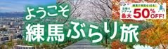 ポケットカルチャー