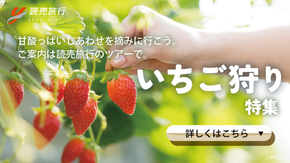 いちご狩りバスツアー