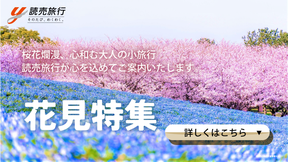 桜の花見ツアー