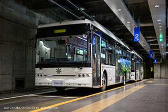 立山トンネル電気バス(約10分)