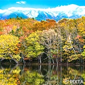 北海道