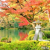 北陸・新潟