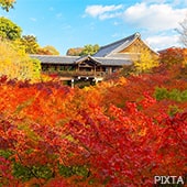関西・南紀