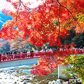 伊豆・東海