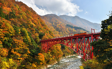 トロッコ電車