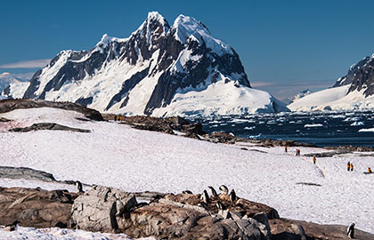 南極上陸観光