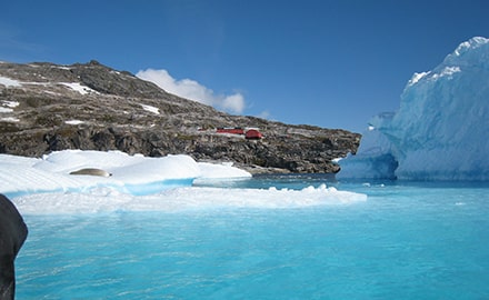 南極は1月～2月上旬がベストシーズン