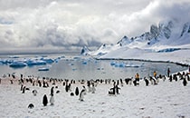 南極を写真で見る4
