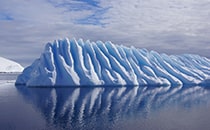 南極を写真で見る6