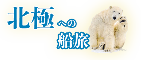 星野リゾート