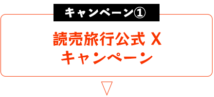 キャンペーン１