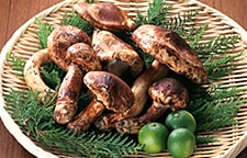 旬の食材