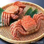 北海道