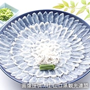 山陰・山陽