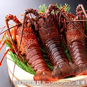 伊豆・東海