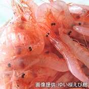 海老