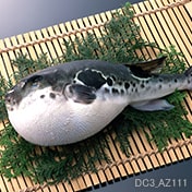 ふぐ