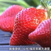 苺