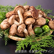 松茸