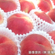 桃