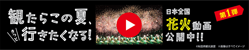 動画公開中