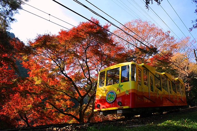 高尾山