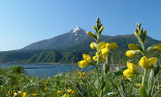 利尻島「利尻山」
