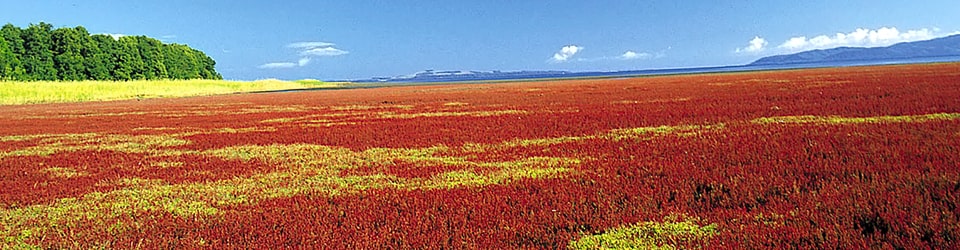 本州よりも早い秋。色づく紅葉を眺めながらの温泉