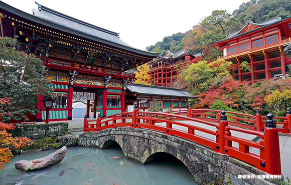 祐徳稲荷神社