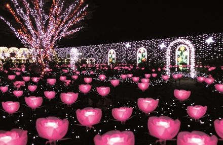 あしかがフラワーパーク 光の花の庭