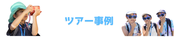 ツアー事例