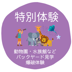 体験