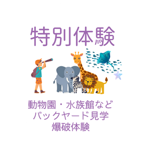 特別体験