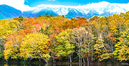 知床