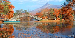 大沼公園