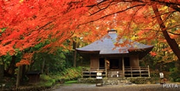 中尊寺