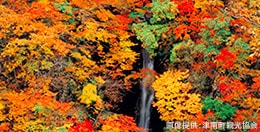 秋山郷