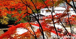 香嵐渓