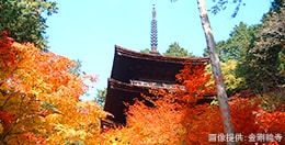 湖東三山
