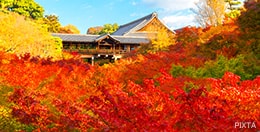 東福寺