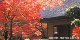 九年庵