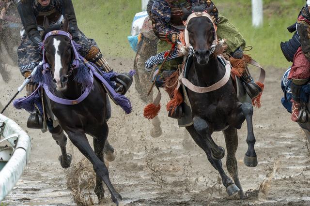 相馬野馬追