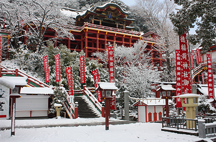 祐徳稲荷神社