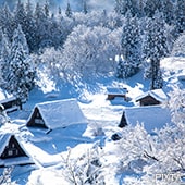 北陸・新潟
