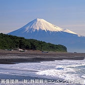伊豆・東海