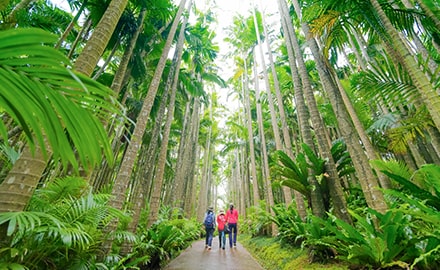 東南植物楽園