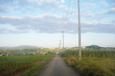小浜島