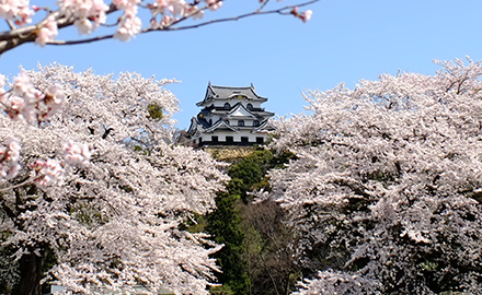 千光寺公園