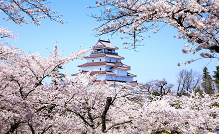 鶴ヶ城址公園