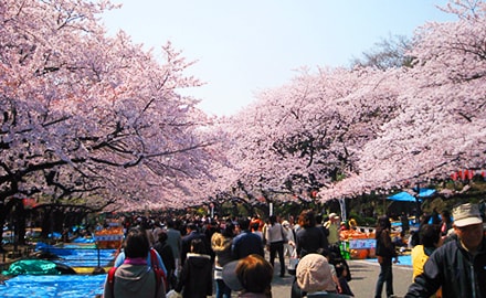 上野恩賜公園